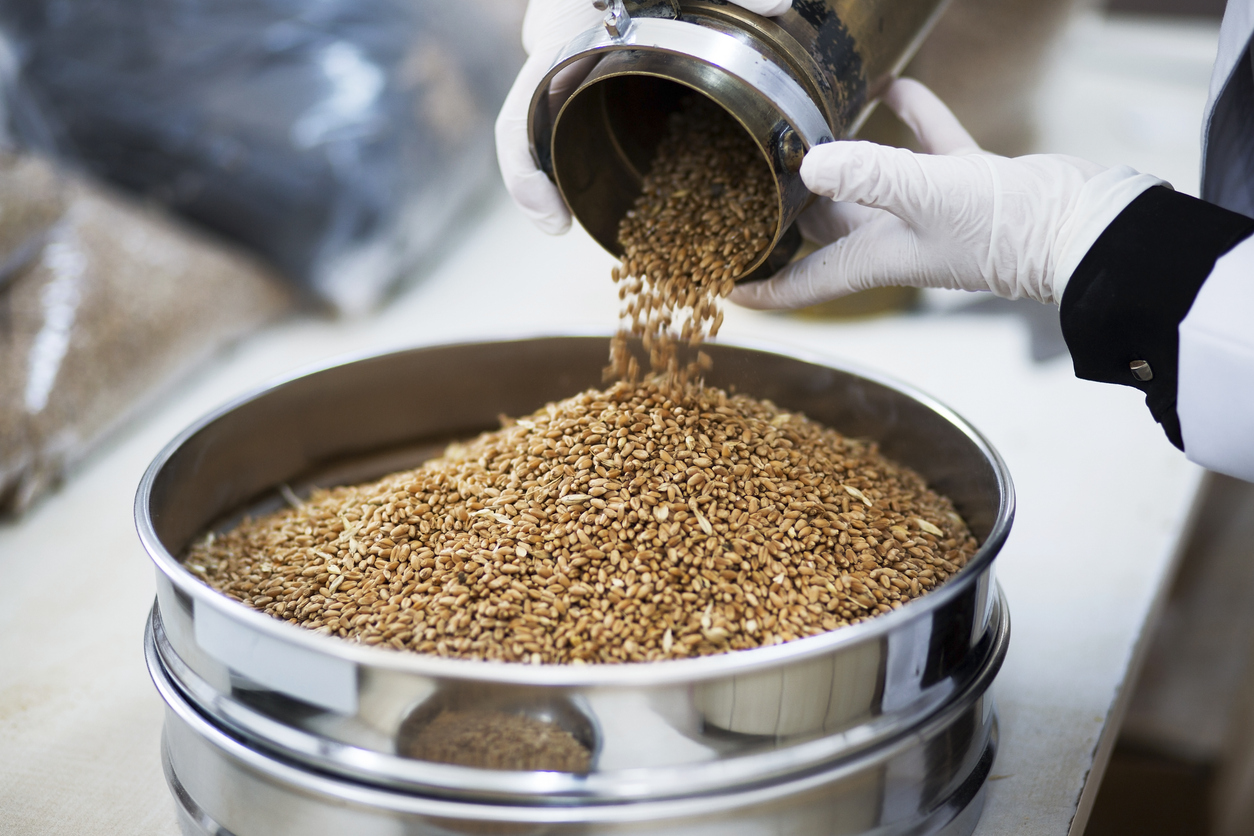 Grain processing.