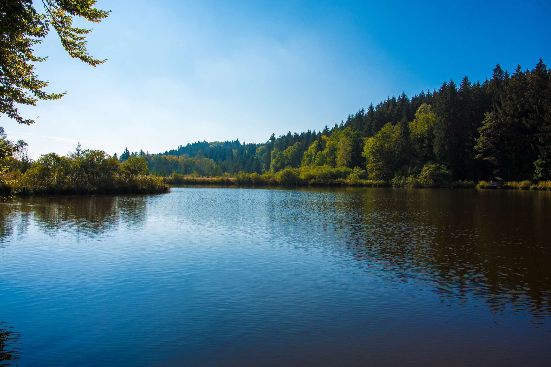 Reflections on a wilderness lake during the daytime.